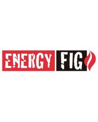 Energy Fig